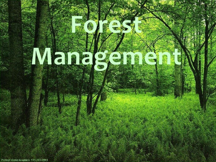 what is the purpose of forest management importance of forest management pdf